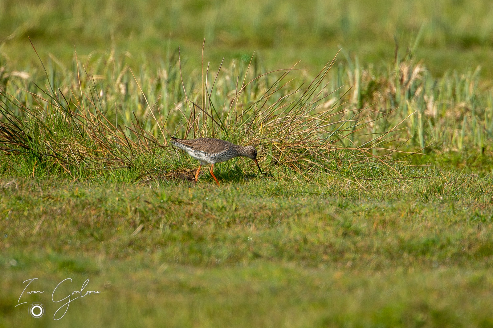 14 april 2022 104838  5D46148